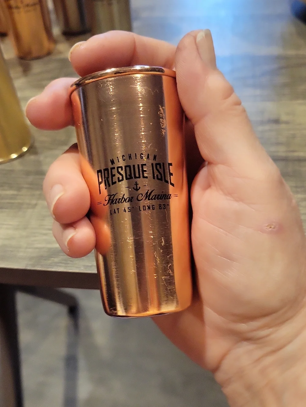 Presque Isle, Mich. Set 9 Oversized Metal Shot Glasses/ Shooters/ New Old Stock